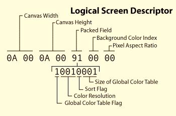 The logical screen descriptor always immediately follows the header. GIF Specification Example This block tells the decoder how much room this image will take up. It is exactly seven bytes long.