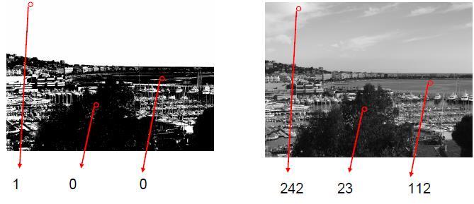 Image matrix at the input Digital image = 2D pixel array; (x,y):