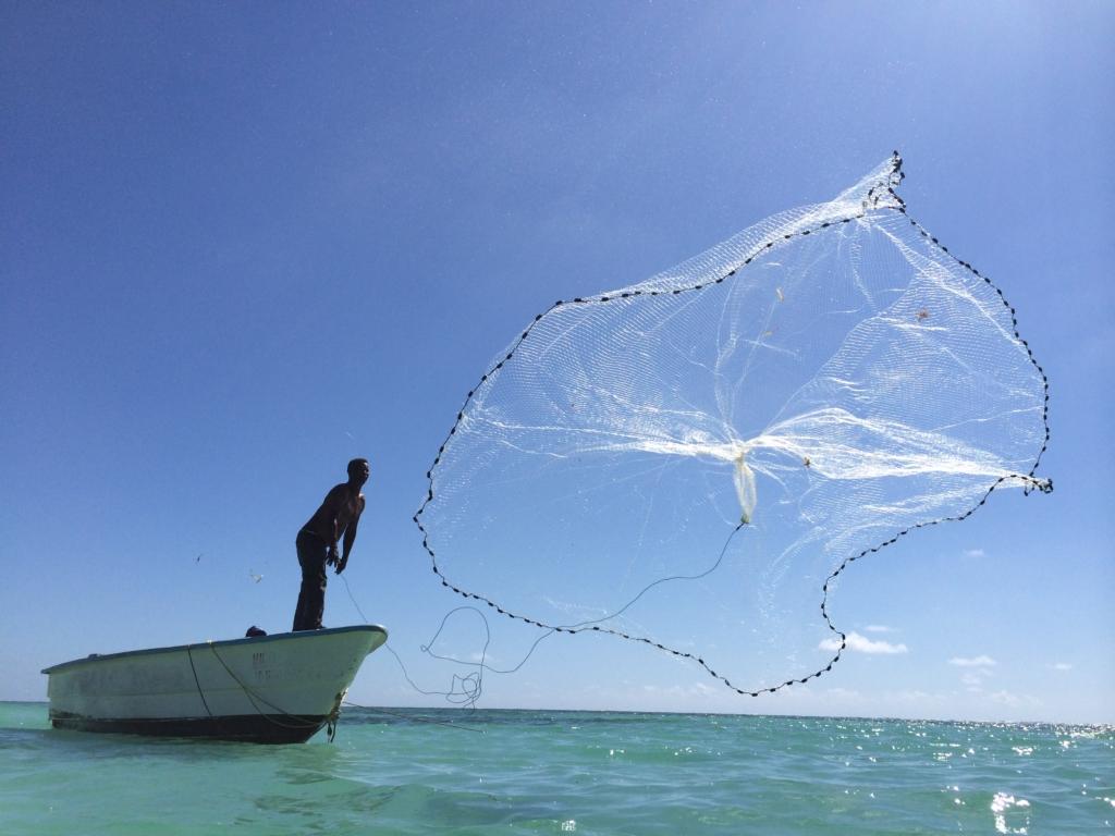 THE FISHERMAN S HIDDEN TALENT Since early 2017, the Dominican Ministry of Environment and the Dominican Council of Fisheries and Aquaculture (CODOPESCA) have taken several important measures to