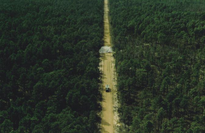 Figure 2. Small isolated target (under the camouflage net) on dirt road with pine tree background.