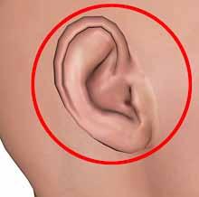 My hearing (tick one): Is good Isn t very good and I wear hearing aid Isn t