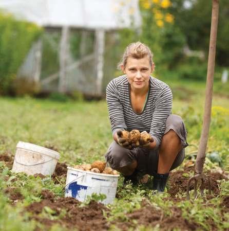 Providing a vibrant agricultural and CSA program offering the opportunity to put mindfulness to work with the lively world of agricultural training.