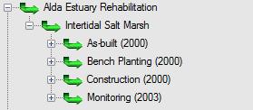 Intertidal Salt Marsh. The third tier describes the work phases for the site of the project. The phase includes As built (2000), Bench Planting (2000), Construction (2000), and Monitoring (2003).