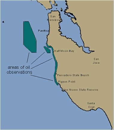 Oil Spills» Restoration Seabird Protection Network Chapter Development Future T/V Command