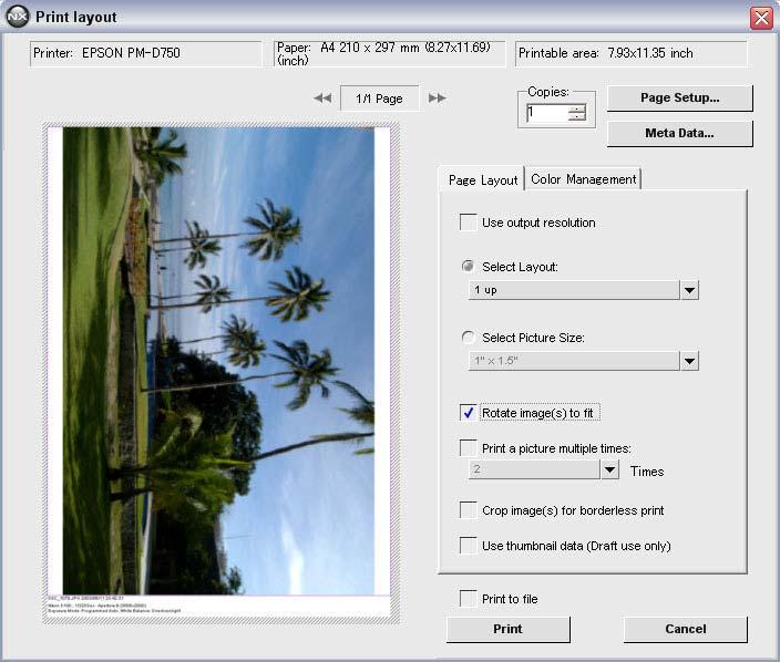 Printing photo information (meta data) When photo information is printed with images, margins