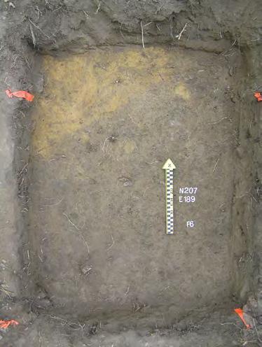 Thwings Point 2015 11 The goal in excavating N208 E189 was to find the interface between the builder s trench for the Feature 6 cellar and the cellar itself, thus identifying the type of construction