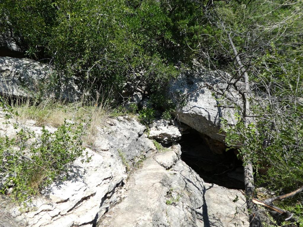 Figure 2. Front view of the lower rockshelter containing the spring. Off camera to the left is another larger shelter with shallow deposits and evidence of animals bedding down inside.