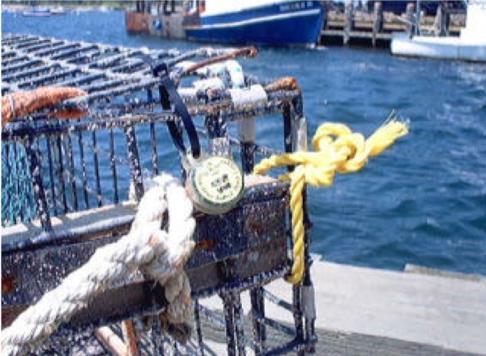 Slide 12 Background Millions of lobster traps 2001: NEFSC began attaching temperature