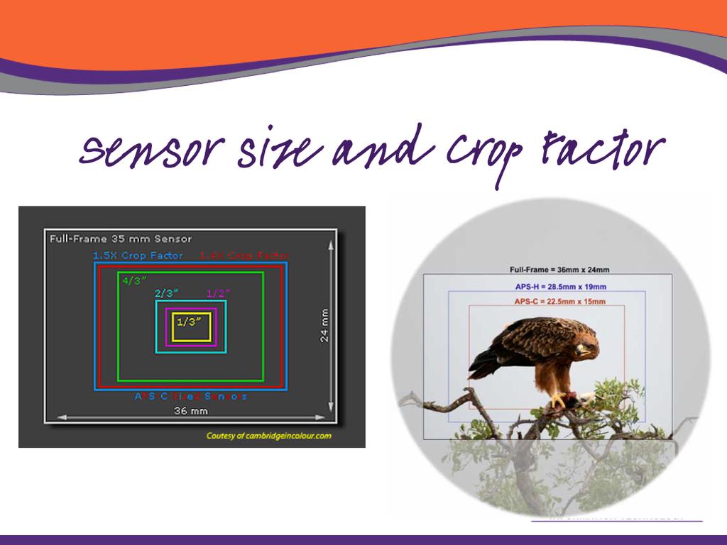 The crop factor is the sensor's diagonal size compared to a full- frame 35 mm sensor.