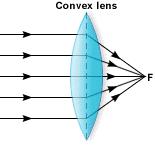 Lenses A convex lens is thicker in the middle than on the ends. It bends light waves toward a point.