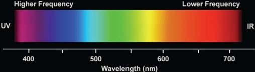 ~7,000,000 Concentrated near the center of the retina Sensitive to color Three