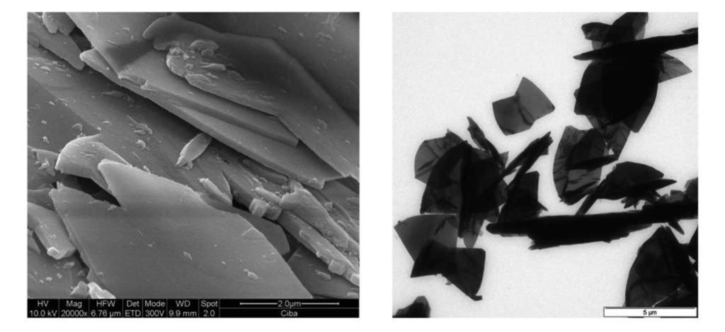 Seite/Page: 5 Figure 2: Microscopy images of the platelet form of quinacridone: left, scanning electron microscopy shows platelets with average thickness 100-200