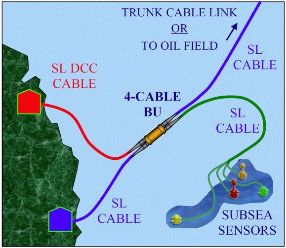 2. ADVANTAGES & APPLICATIONS Dual-conductor cable (DCC), BUs, and repeaters with dual power paths allow nontraditional undersea optoelectronics to be efficiently incorporated into a standard undersea