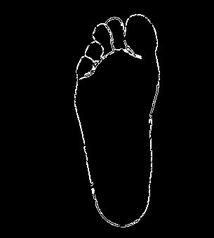 Human Identification Using Foot Features 25 Threshold = (mean (grayscale image))*0.