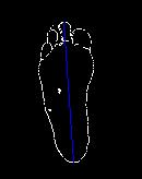 26 Human Identification Using Foot Features C. Features extraction: There are several features that can be extracted from the geometry of the foot.