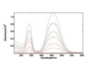 Measurement Examples Emission Scans - with temperature dependence Rhodamine B, unlike other Rhodamine derivatives, has a chemical structure that is not entirely rigid.