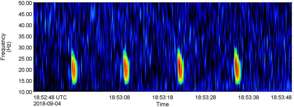 Figure 20. Blue whales: Daily and hourly occurrence (black) and possible occurrence (blue) at 2 km, 20 km, and the Gully. Dashed lines indicate periods when AMARs were not recording. 3.2.1.2. Fin whales Fin whale infrasonic 20-Hz signals (Figure 21) (Watkins 1981) occurred sporadically in the first and last months of recordings at 2 km and 20 km (Figure 22).