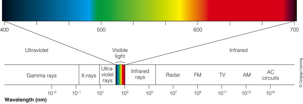 Spectrum ranges from short wavelength gamma rays to long wavelength radio waves.