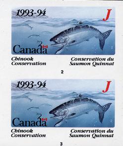 BCF5i*NH - 1993-94 BC "J" Junior fishing stamp.