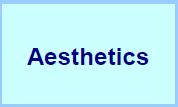 Aesthetics = Fun Aesthetics describes the desired emotional responses evoked in the player when interacting with the game system Not the visual