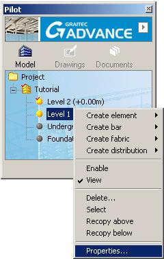 In the Pilot, right click Level 1 and select Properties from the context menu.