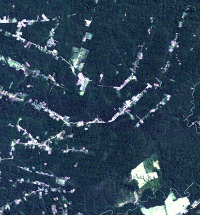 2006 Landsat Image ENVI Analysis