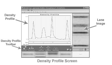 Density Profile - General Each (x,y) data point in the Density Profile is obtained by summing the grayscale pixel values horizontally across the lane.