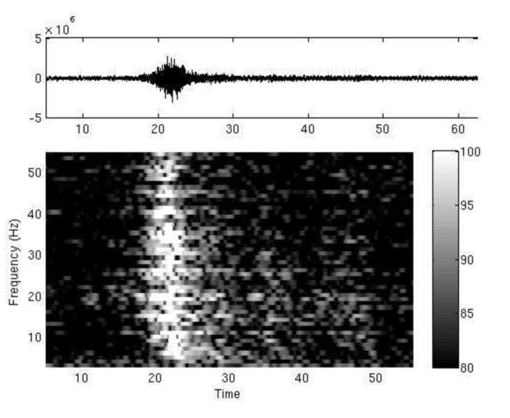 Figure 2. Note the significant Signal-to-Noise ratio, the modal dispersion below 10Hz, the slight evidence of related arrivals at 38 and 48 s.