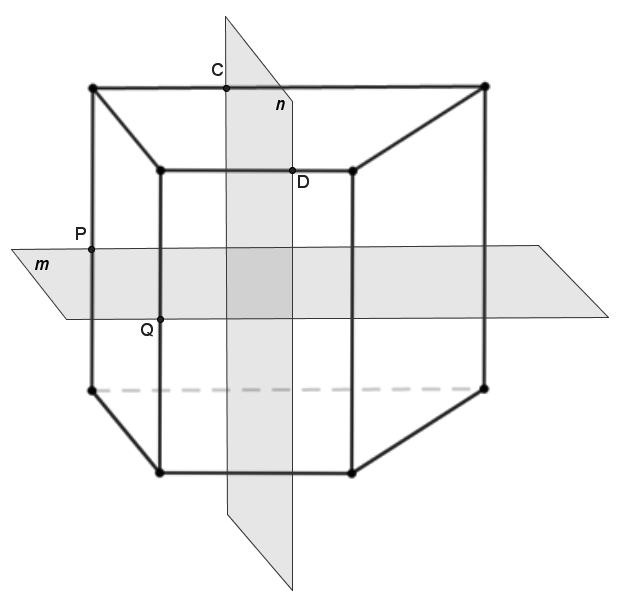 8 A right trapezoidal prism is shown in the diagram below. Vertical plane n intersects the prism at points C and D and horizontal plane m intersects the prism at points P and Q.