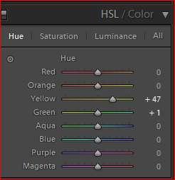 (Below) With those settings, the image's background has lost most (if not all) of the orange hue. Next is HSL adjustments seen in the box at right.