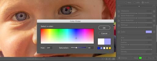 If you ever want to make the eyes (or any area) more colorful than is possible with the Saturation slider, you can force color into an area by using the Color setting, located below the adjustment
