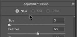 to the face will not also affect the part of the hat that we previously isolated. To do this, we ll use the circles at the top of the Adjustment Brush sliders to choose New.
