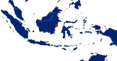 Indonesia:Mahakam Hilir Appraisal and Exploration Mahakam Hilir PSC Cue 40% SPC (Op) 60% Naga Utara-1 (2012) showed good hydrocarbon