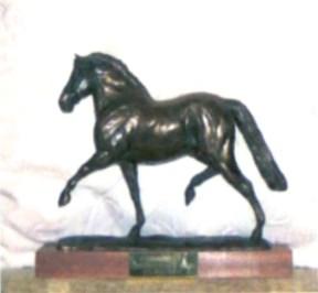 Non Arab Award Awarded to the horse/pony with no Arab breeding, gaining the highest number of points as per the National