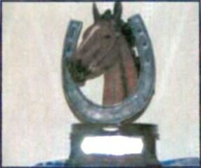 Pure Bred Arab "The Klaszic Trophy" Donated by Andrea Waistell Awarded to the horse/pony correctly registered as 100% Arab