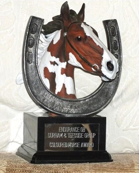 Coloured Horse Award Donated by Karen Fairbairn For Piebald and Skewbald horse/pony. Awarded to the Piebald/Skewbald horse/pony with the highest km in any type of ride.