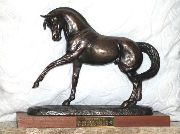 Endurance Choice The Endurance Choice Trophy will be awarded to the horse/pony and rider combination who for whatever reason decide to compete at Novice Level Only throughout the season.