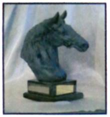 High Point Awarded to the horse/pony with the highest