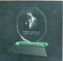 Advanced Graded Ride Trophy Awarded to the Advanced