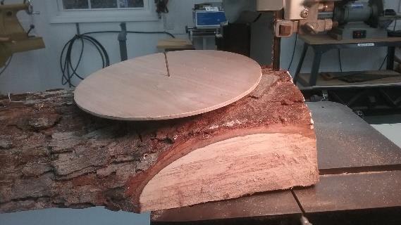 right. Again our high-tech pizza pan is useful. This time we nail it to the bark face of the sides that we cut and use it as a guide to band saw round bowl blanks from the sides.