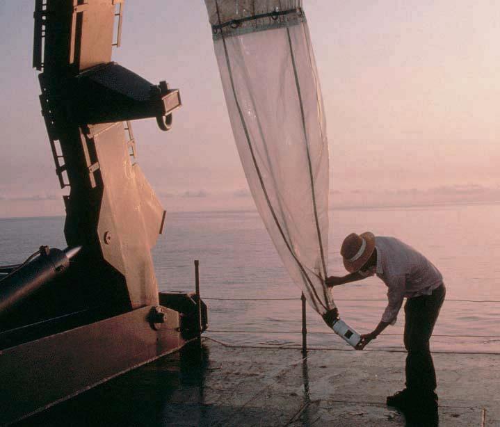 CSIRO s Dr George Creswell retrieving a plankton net from the stern of the Baruna