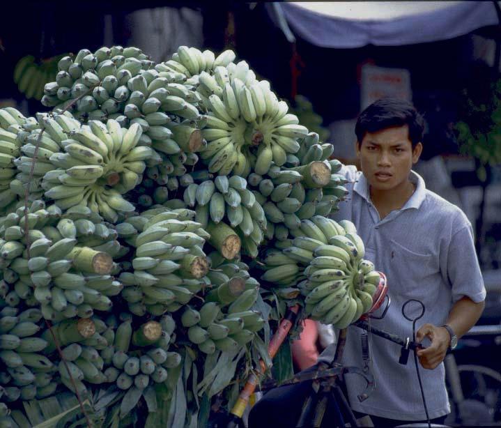 Vietnamese bananas imported to sell at border markets in Eastern province, Cambodia.