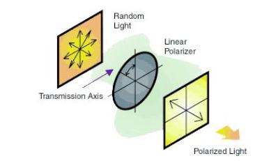 POLARIZATION A linear polarizer filter absorb E along some