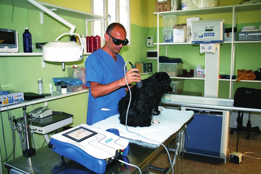 2 Thanks to an innovative technique, lasers and veterinaries work together.