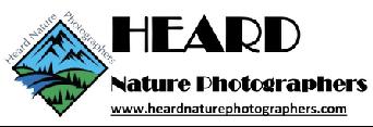 40th Annual Heard Nature Photography Contest For contest details and submission rules, click here: http:// www.heardnaturep hotographers.
