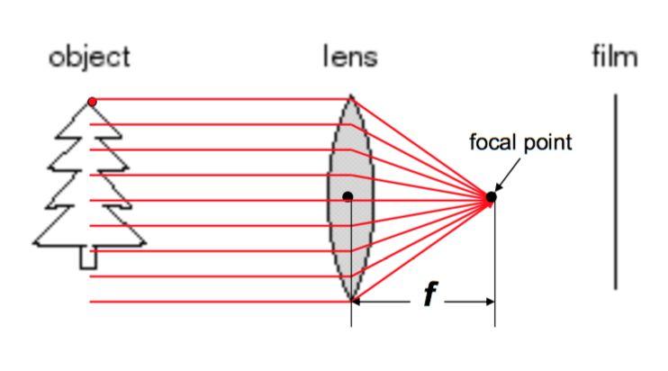 Cameras and Lenses All parallel rays converge to