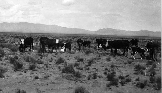A Brief History of Rangeland Monitoring Sampson(1923) promoted the idea of a systemized study, designed to secure the
