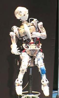 We joined the Prototype Robot Exhibition of the EXPO 05 held in Aichi, Japan, and performed demonstrations. Fig. 15 shows scenes at the exhibition. Kotaro has 91 DOF including flexible spine.