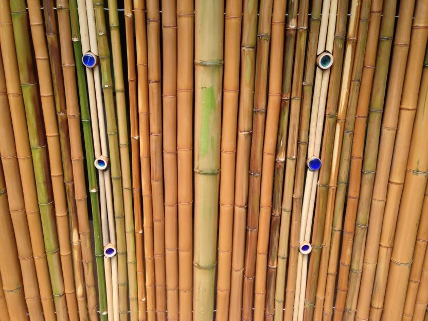 They will bring the bamboo required.