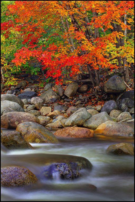 Here Kevin combined the beautiful fall colors (maples in this case) with the flowing water of a stream. To capture a scene like this you must use a tripod and ND filters.